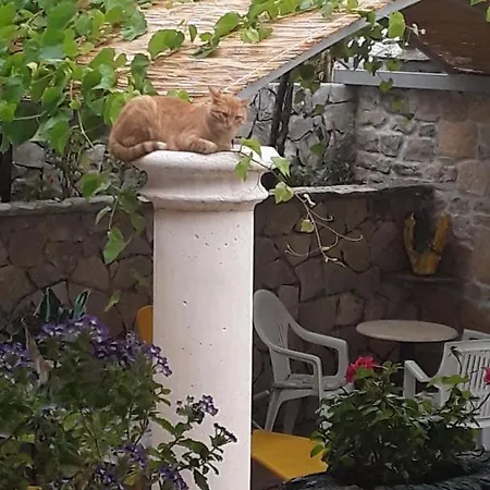 Kuca Za Odmor Krka Tatil Evi *